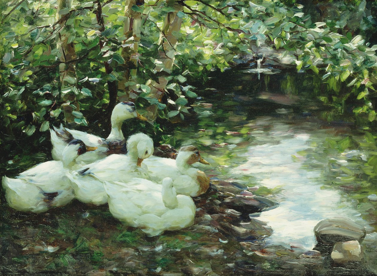 Pięć kaczek na rzece, Kamienisty brzeg; Funf Enten am Bach, Steiniges Ufer autorstwa Alexander Koester