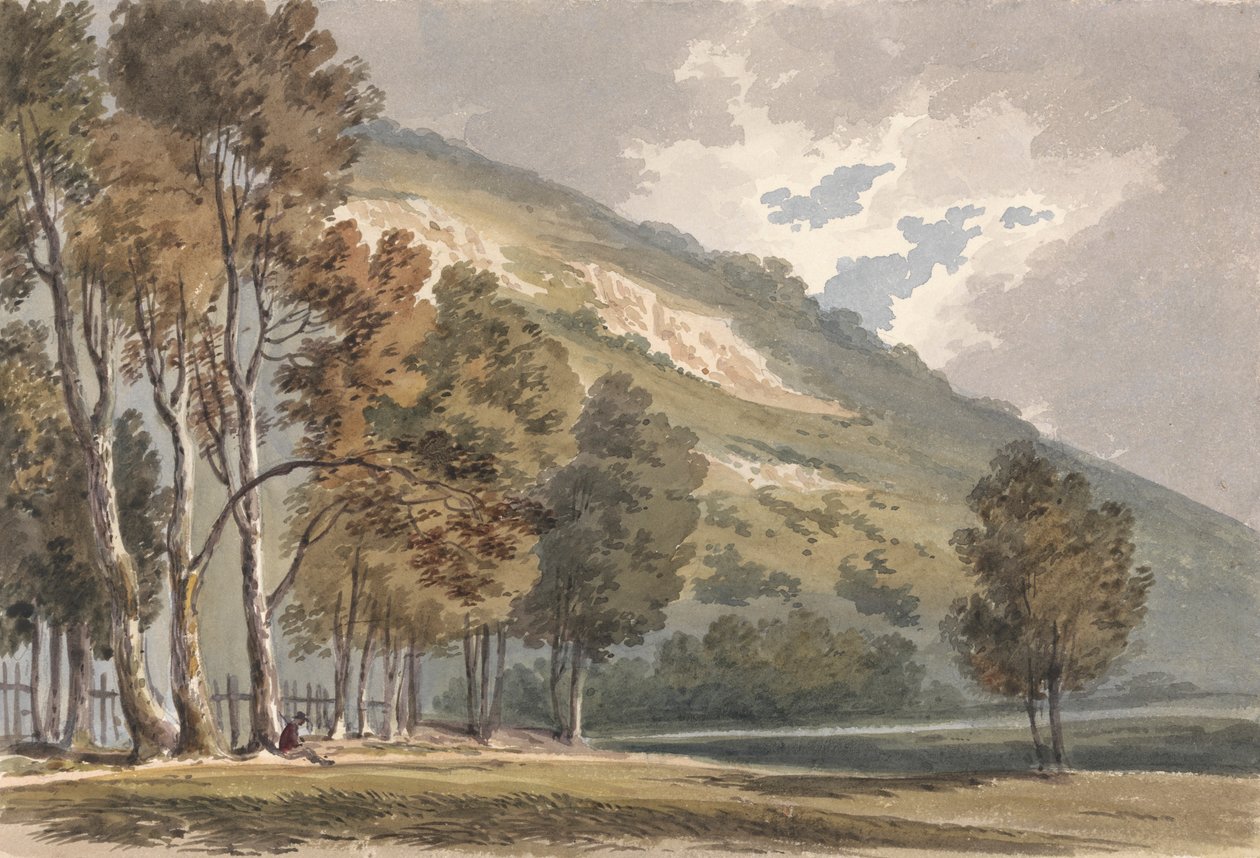 Krajobraz przy Boxhill, Surrey autorstwa Alexander Monro