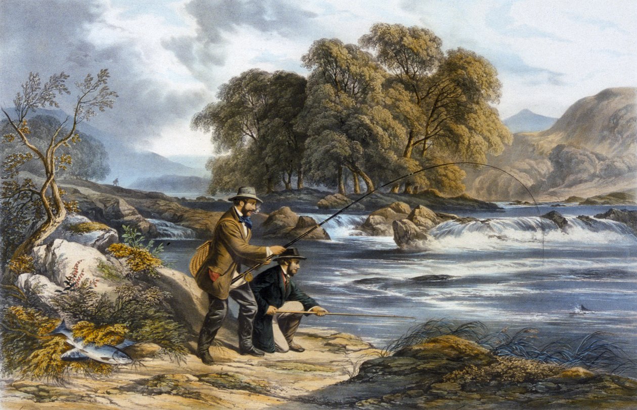 Łosoś Łosoś (akwarela na papierze) autorstwa Alexander Rolfe