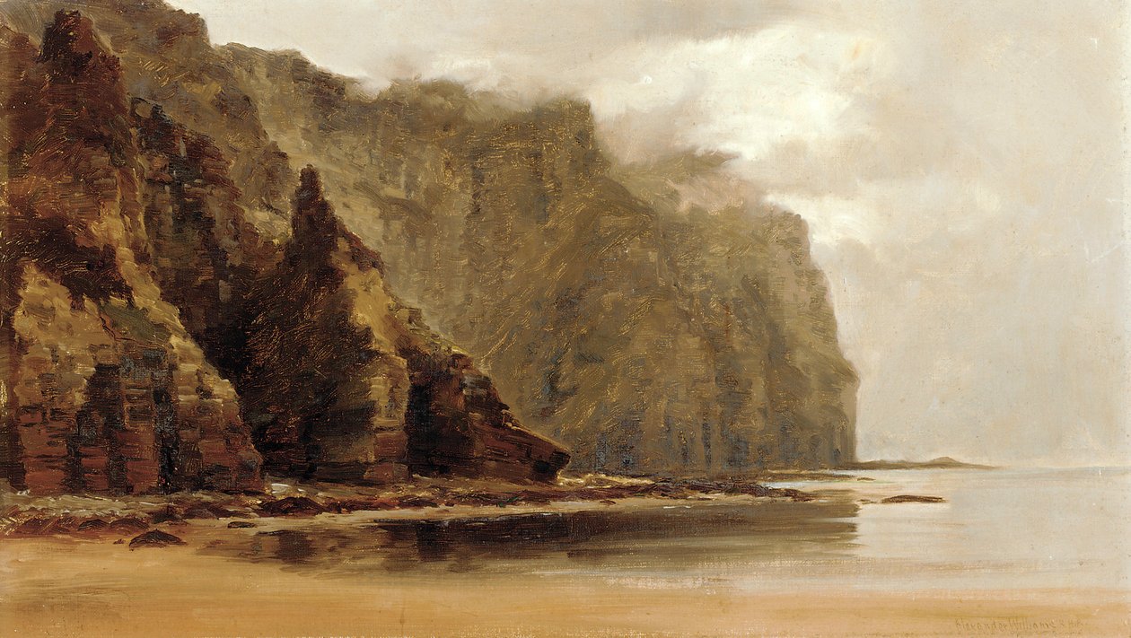Klify Minaun, wyspa Achill, hrabstwo Connacht, Irlandia (olej na płótnie) autorstwa Alexander Williams