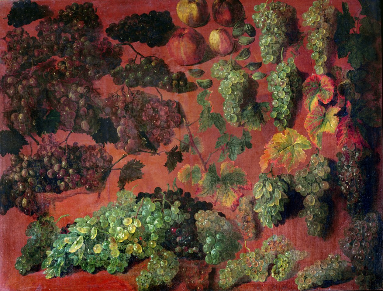 Martwa natura z kiściami winogron autorstwa Alexandre Francois Desportes