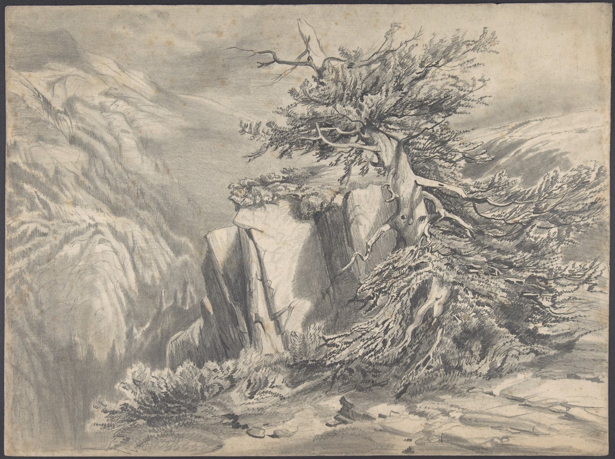 Złamane drzewo w górskim krajobrazie autorstwa Alexandre Calame