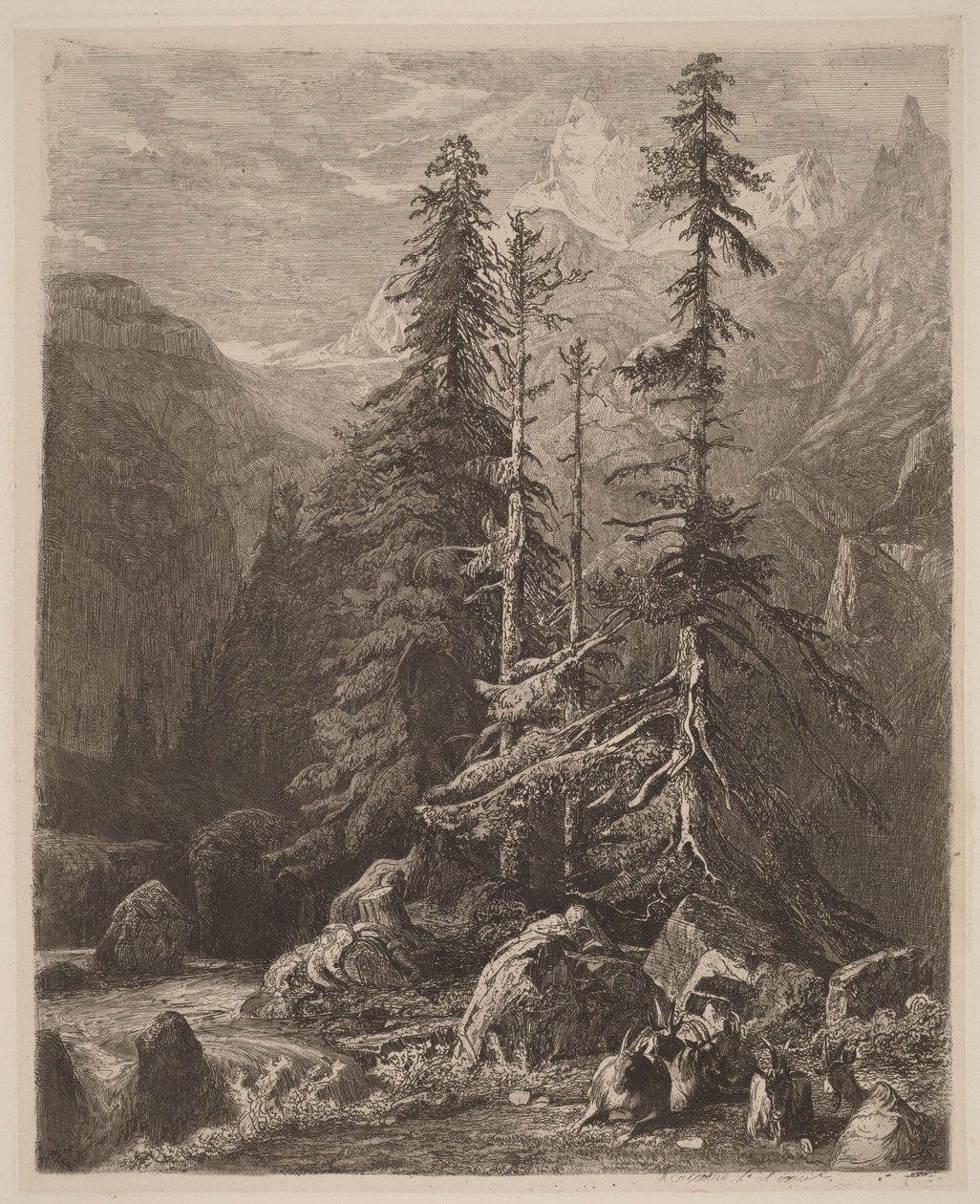 Próby akwaforty autorstwa Alexandre’a Calame’a, tom I, tabl. 21 autorstwa Alexandre Calame