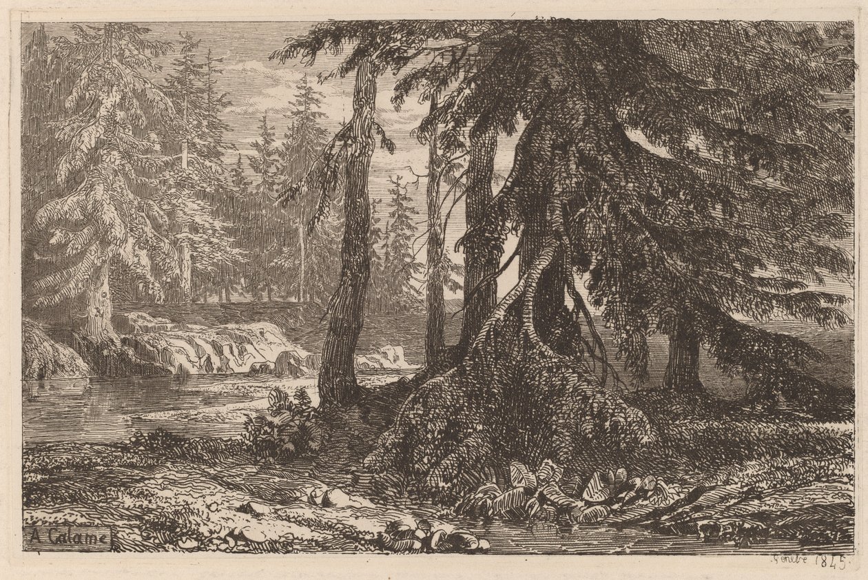 Próby akwaforty Alexandre Calame, III, pl. 16 autorstwa Alexandre Calame