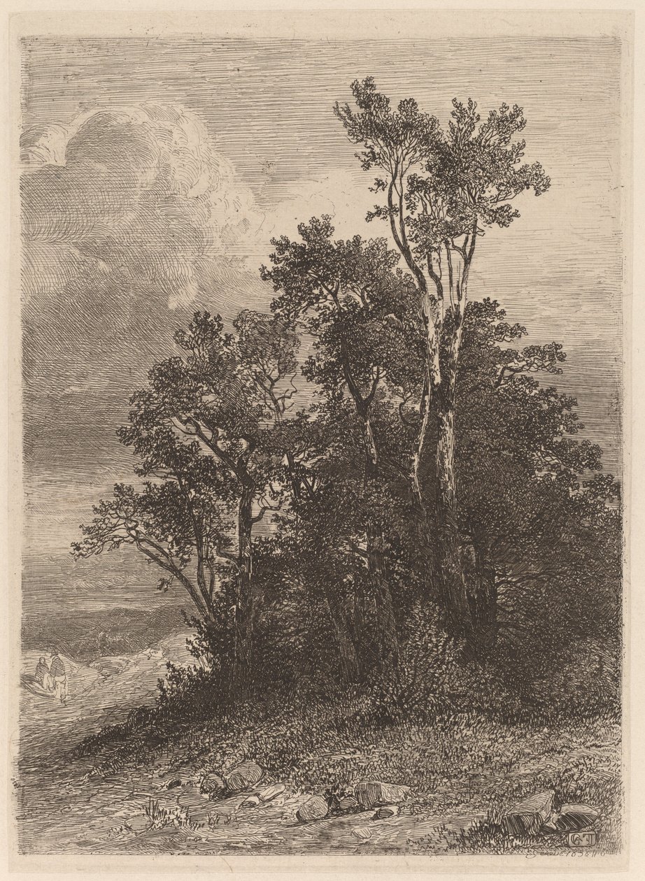 Gaj Drzew autorstwa Alexandre Calame