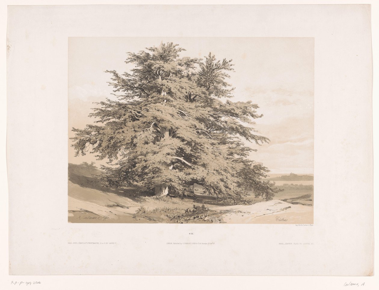 Krajobraz z cedrami Cedres (tytuł na obiekcie) autorstwa Alexandre Calame