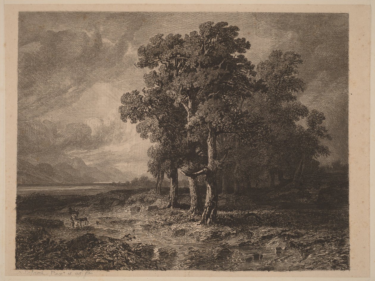 Drzewa podczas burzy autorstwa Alexandre Calame