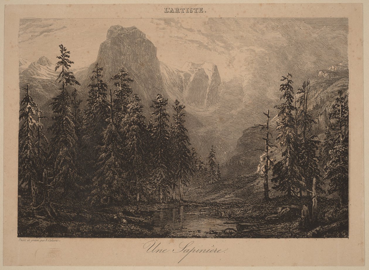 Las sosnowy autorstwa Alexandre Calame