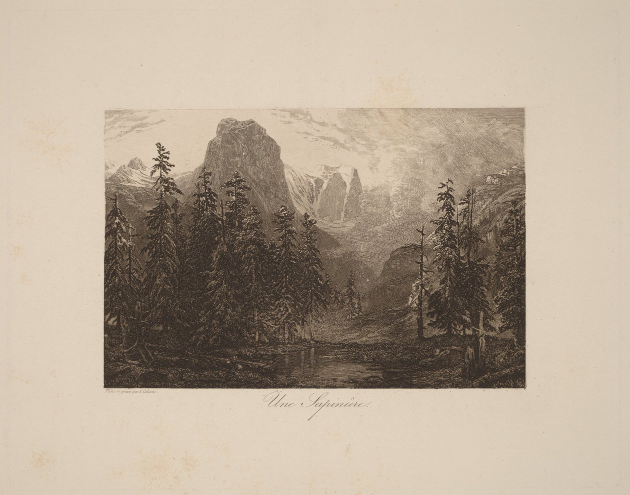 Las sosnowy autorstwa Alexandre Calame