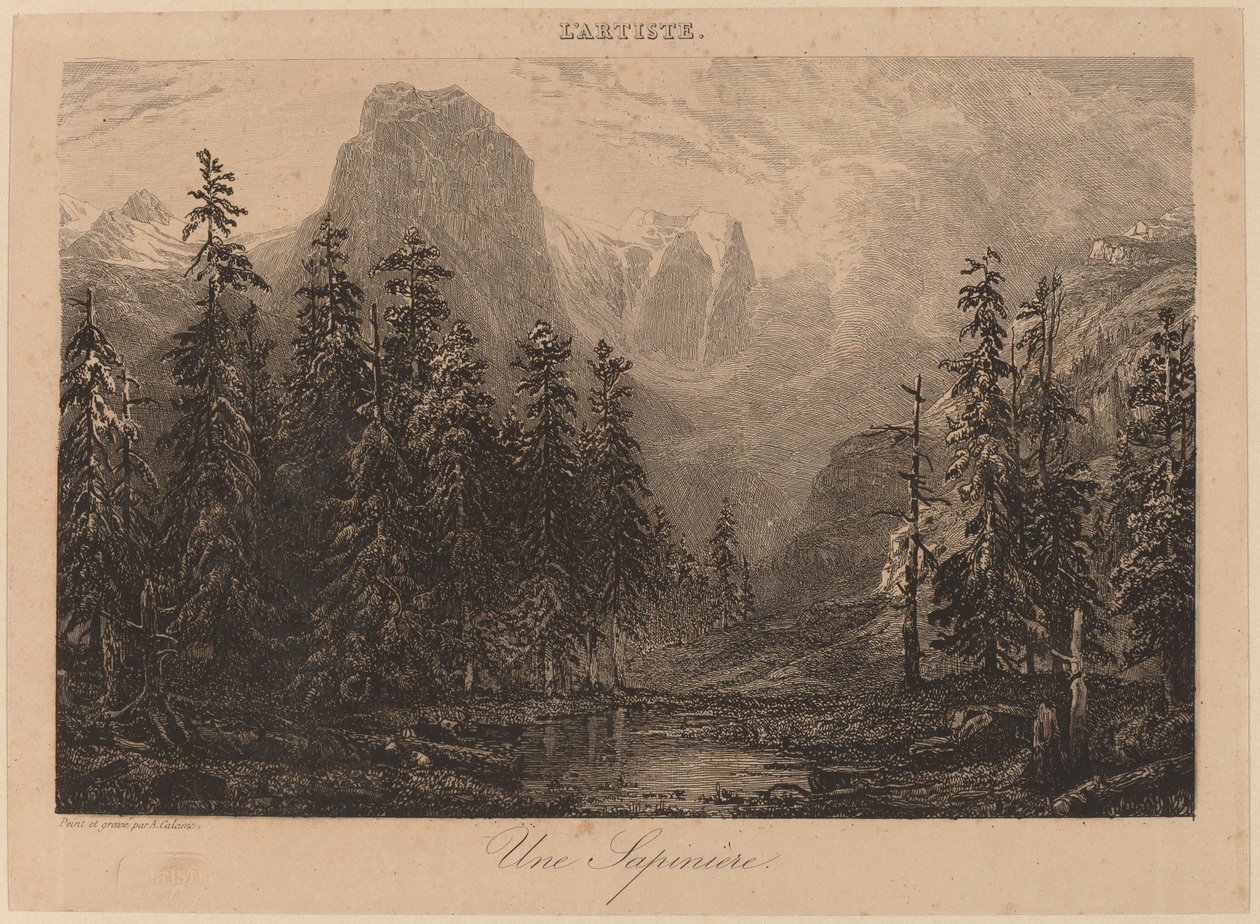 Jodła autorstwa Alexandre Calame