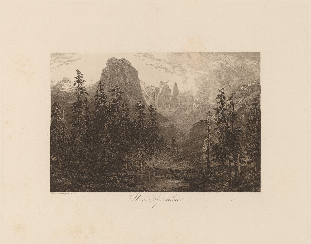 Jodła autorstwa Alexandre Calame
