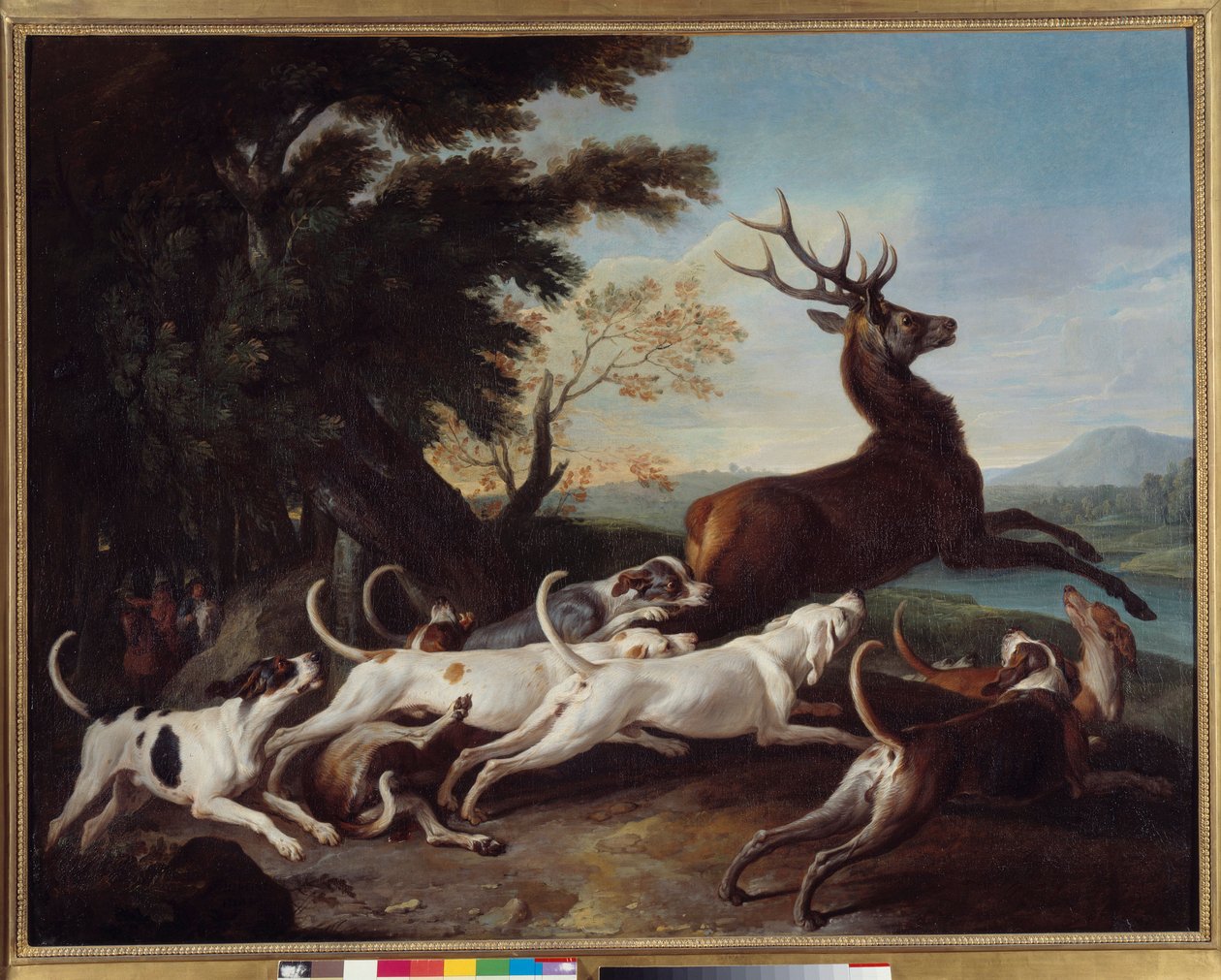 Polowanie: „Debuche du deer” Obraz Francois Desportes (1661-1743) 1718 Nd. 1,1x1,45 m Rouen, Muzeum Sztuk Pięknych autorstwa Alexandre Francois Desportes
