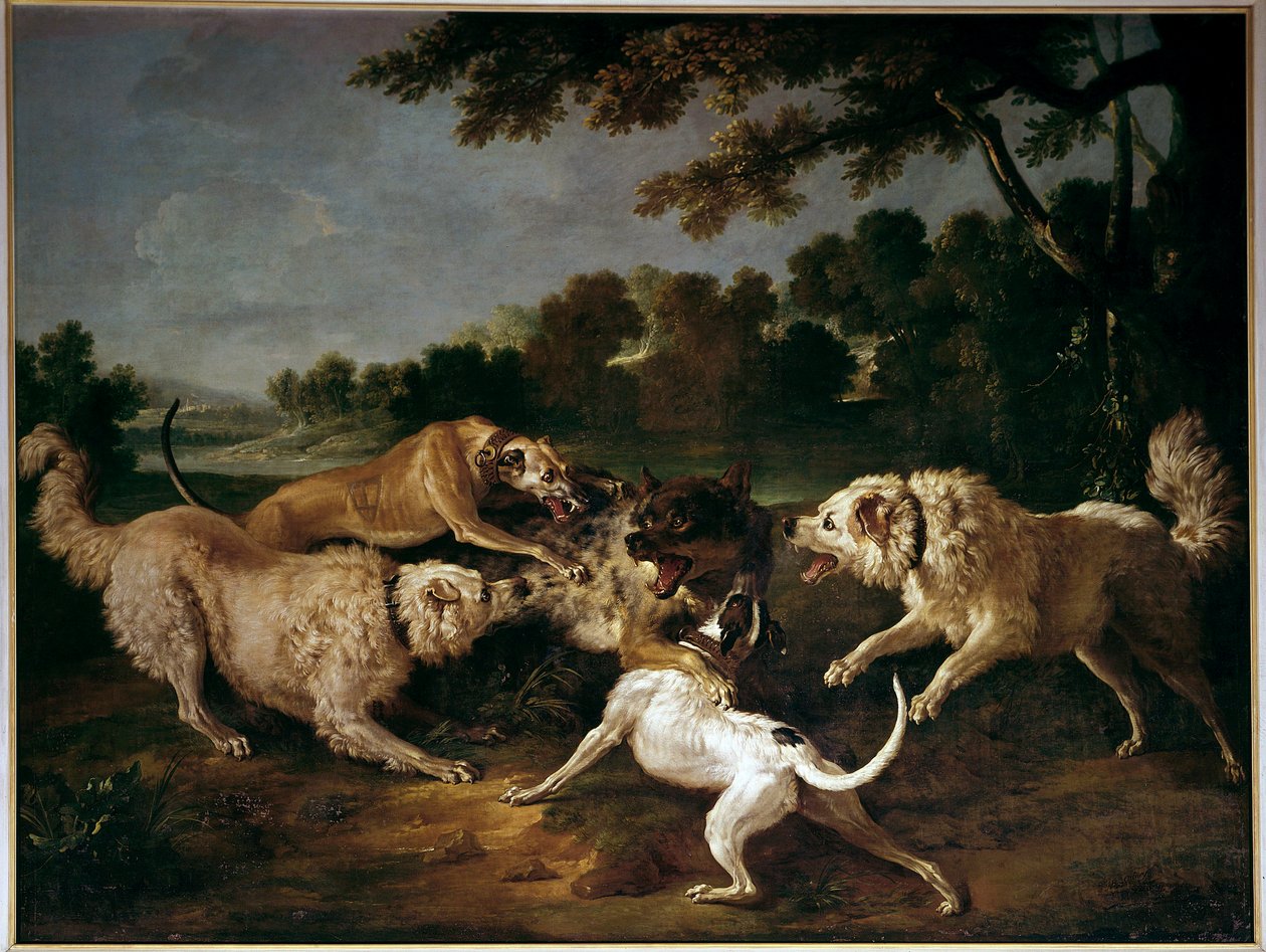 Polowanie na wilka Obraz Francois Desportes (1661-1743) autorstwa Alexandre Francois Desportes