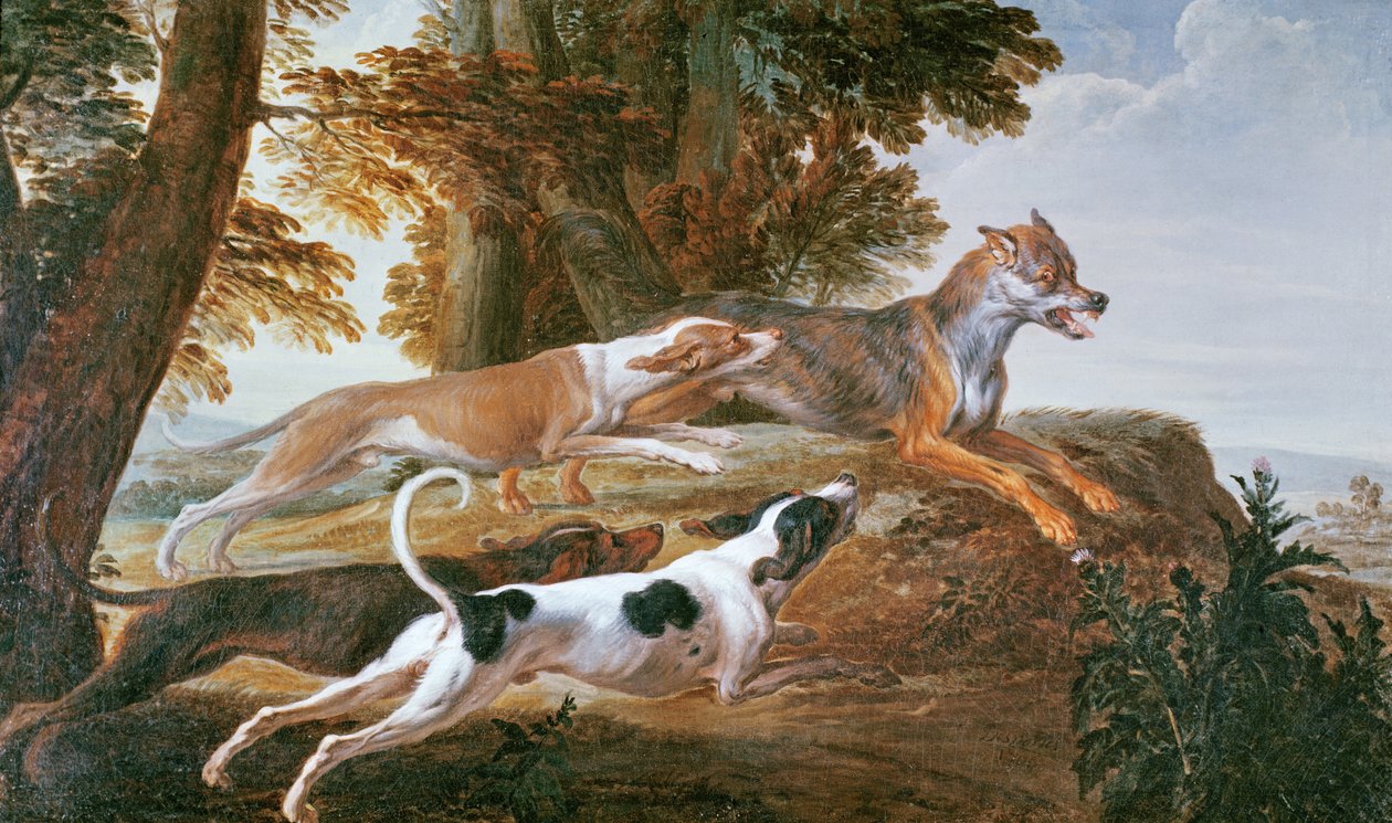 Polowanie na wilka, ok. 1720 autorstwa Alexandre Francois Desportes