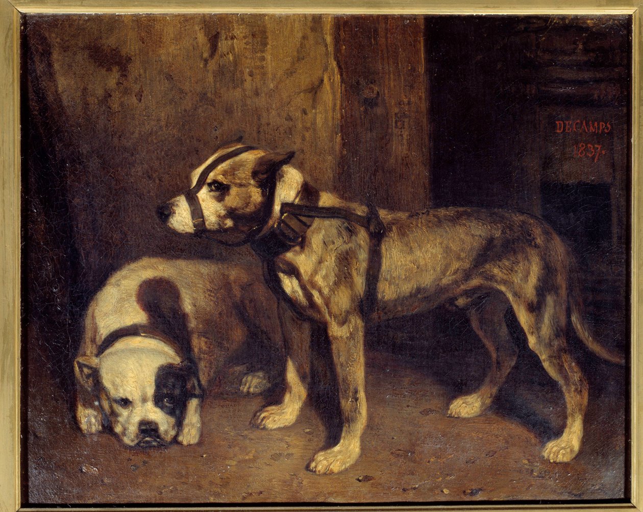 Buldog szkocki i terier Malarstwo autorstwa Alexandre Gabriel Decamps (1803-1860) XIX-wieczne słońce. 1,04x1,34 m² autorstwa Alexandre Gabriel Decamps