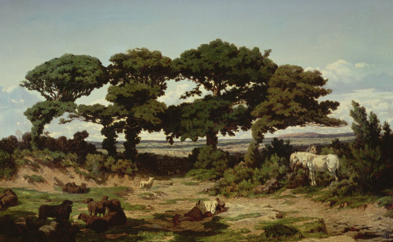 Dęby Kertregonnec, ok. 1869-70 autorstwa Alexandre Sege