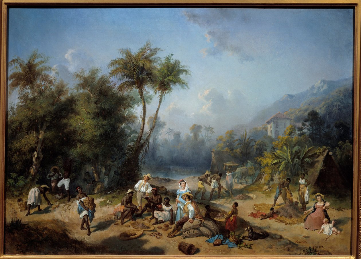Plantacja kakao w Indiach Zachodnich Malarstwo Alexandre Balance (1822-1893) XIX w. Słońce. 0,5x0,7 m La Rochelle, Musee du Nouveau Monde - Plantacja kakao w Indiach Zachodnich. Malarstwo Alexandre Balance (1822-1893) autorstwa Alexandre Solde