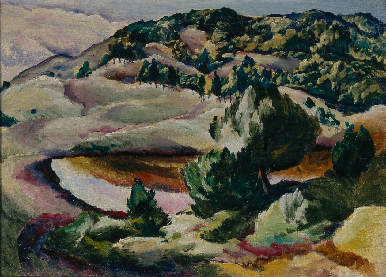 Korolkowskie Dacza. Staw na wzgórzach, 1918 autorstwa Alexei Ilyich Kravchenko
