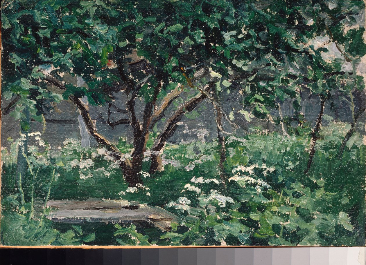 Un coin du jardin (Róg ogrodu) - Praca Aleksieja Stiepanowicza Stiepanowa (1858-1923), olej na tekturze autorstwa Alexei Steipanovitch Stepanov