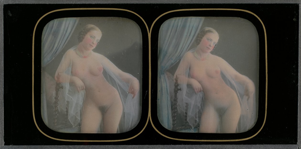 Bez tytułu (Nude) autorstwa Alexis Louis Charles Arthur Gouin