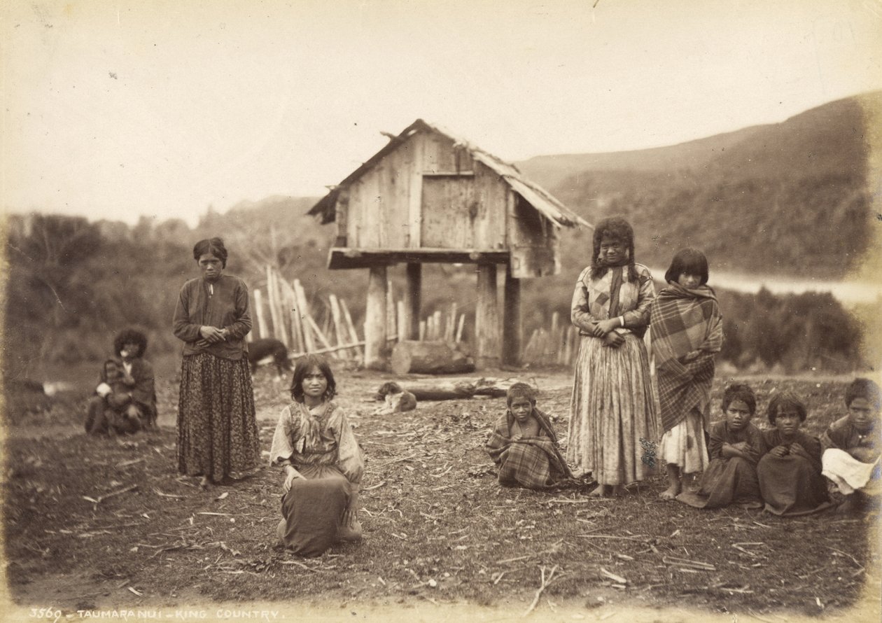 Taumarunui - King Country, 29 maja 1885 (druk albumowy) autorstwa Alfred Burton