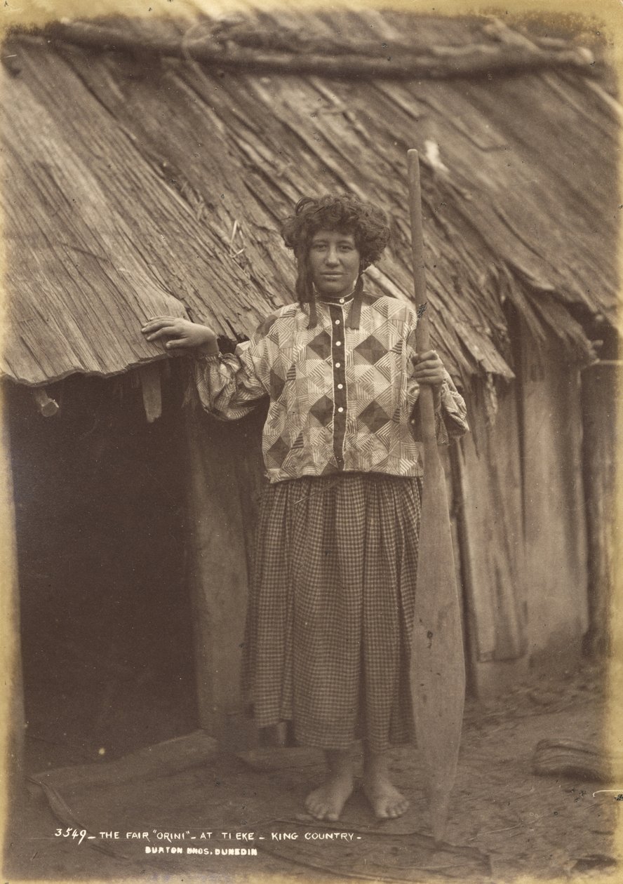 Targi "Orini" - At Ti Eke - King Country (odbitka albuminowa) autorstwa Alfred Burton