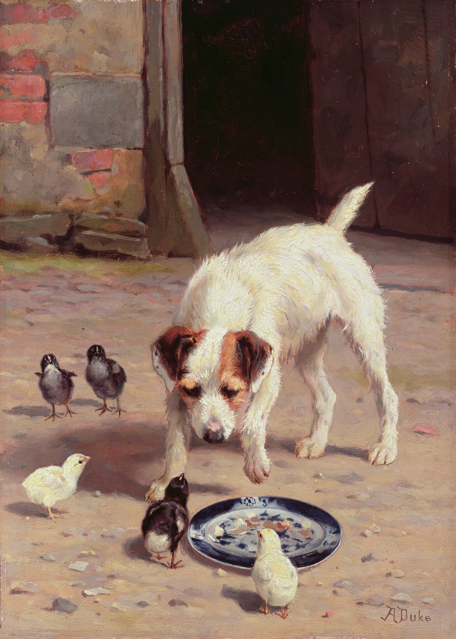 Сөргөлдөөн поли autorstwa Alfred Duke