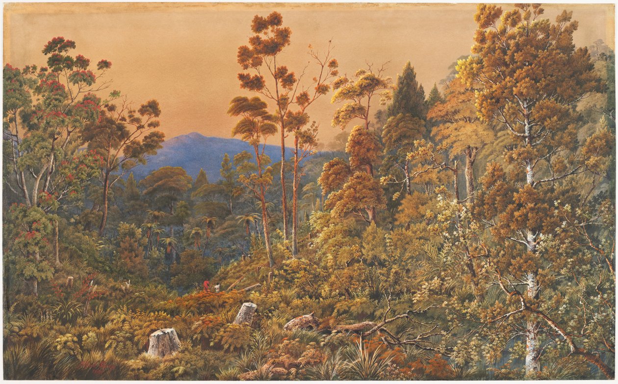 Złoty wieczór, wyspa Waiheke autorstwa Alfred Sharpe