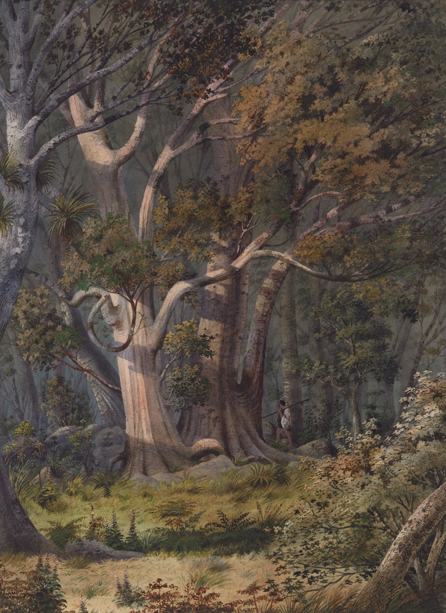 Miejsce pochówku Hone Heke, Bay of Islands autorstwa Alfred Sharpe