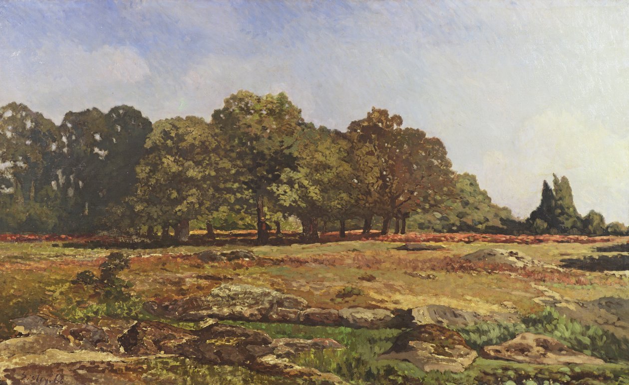 Aleja Kasztanowców w La Celle-Saint-Cloud, c.1866-67 autorstwa Alfred Sisley
