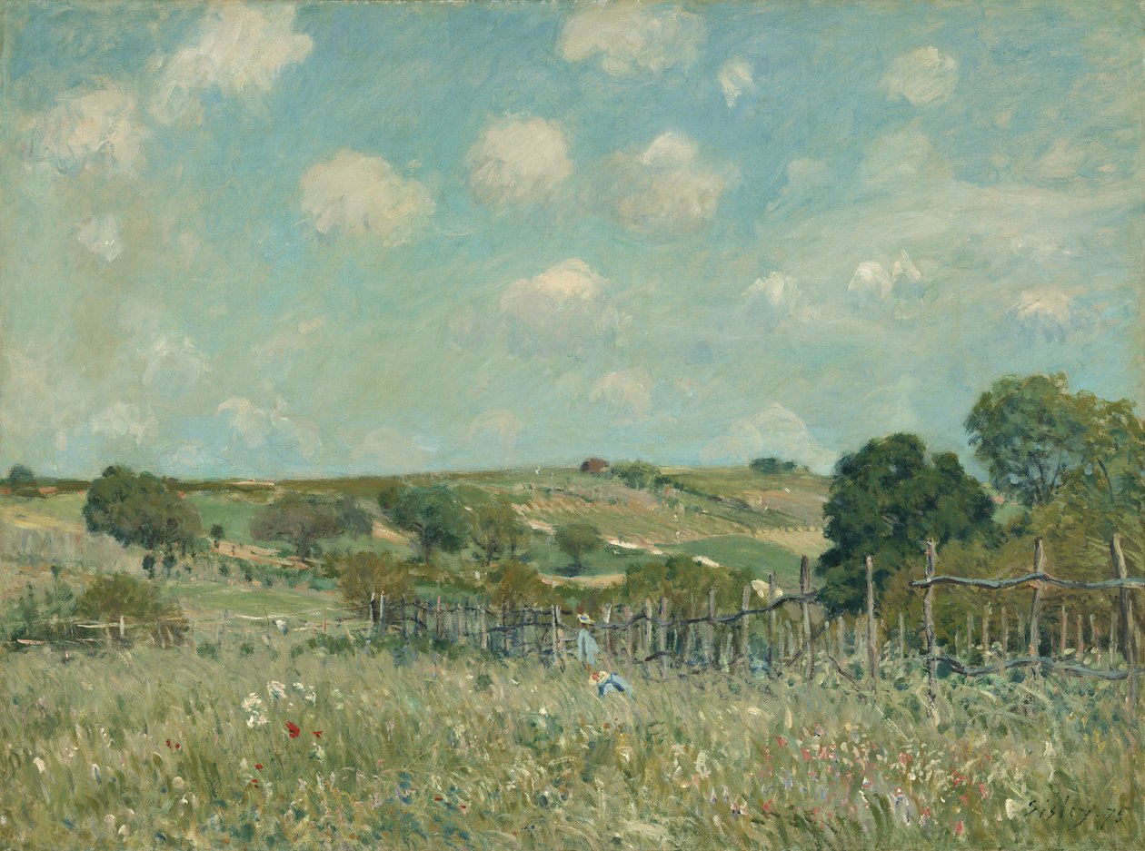 Łąka, 1875 autorstwa Alfred Sisley