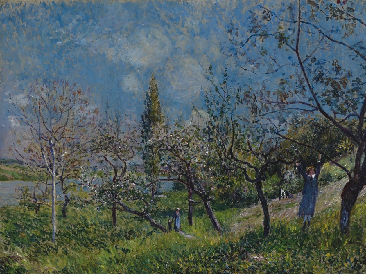Sad na wiosnę autorstwa Alfred Sisley