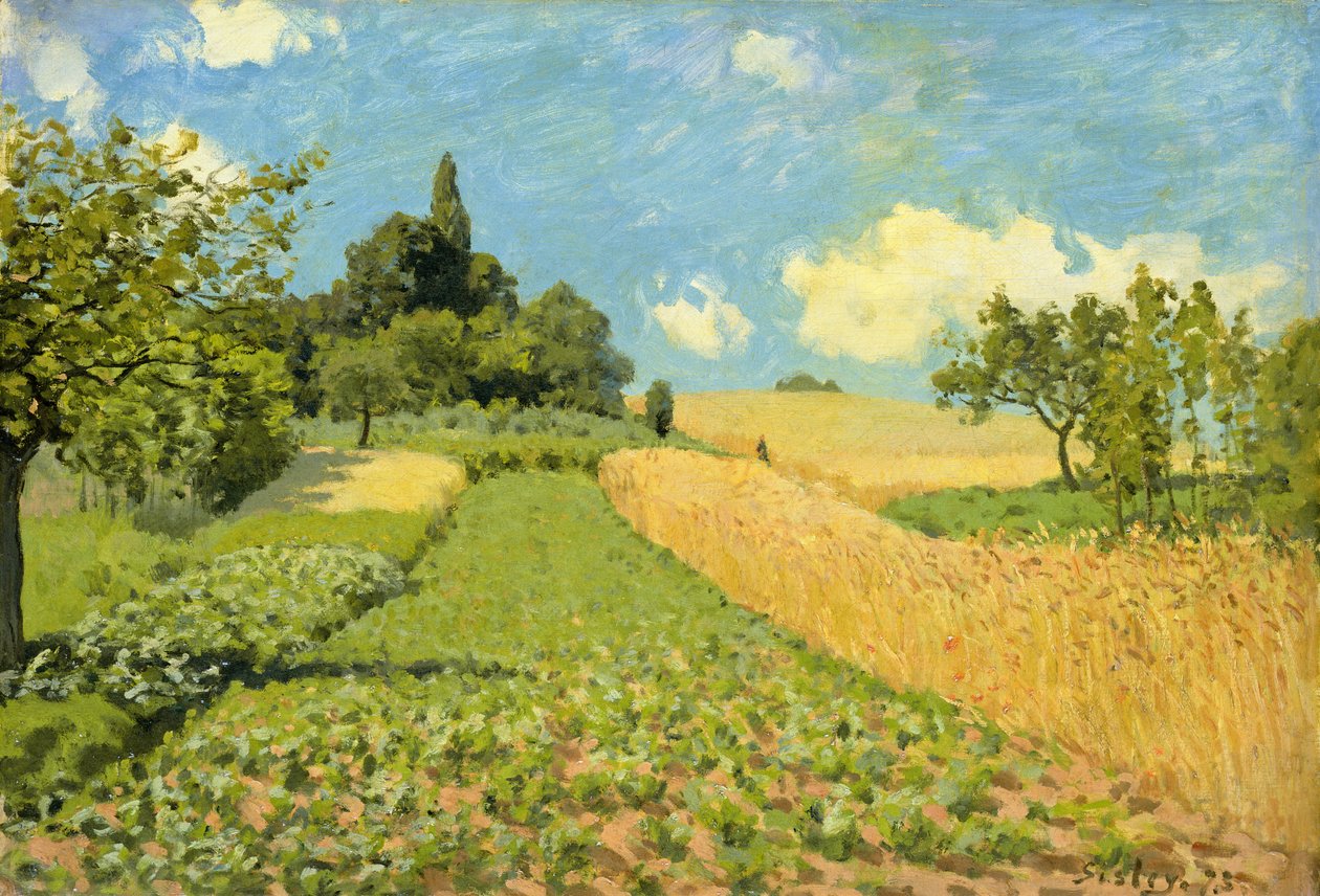 Pole kukurydzy (w pobliżu Argenteuil) autorstwa Alfred Sisley