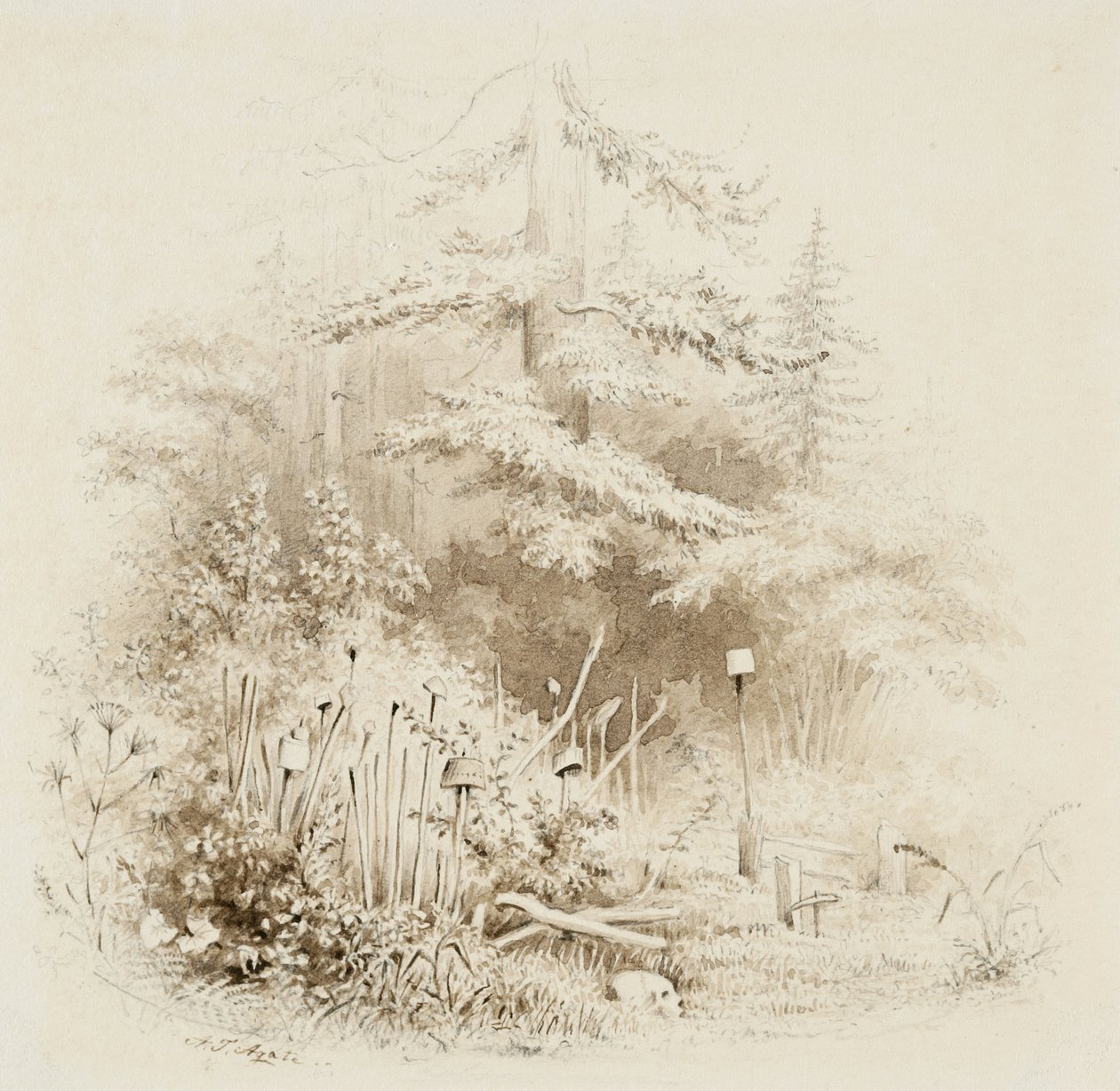 Indian Burial Place, Oregon, 1841 (mycie pędzlem i brązem, z grafitem, na kremowym papierze tkanym) autorstwa Alfred Thomas Agate