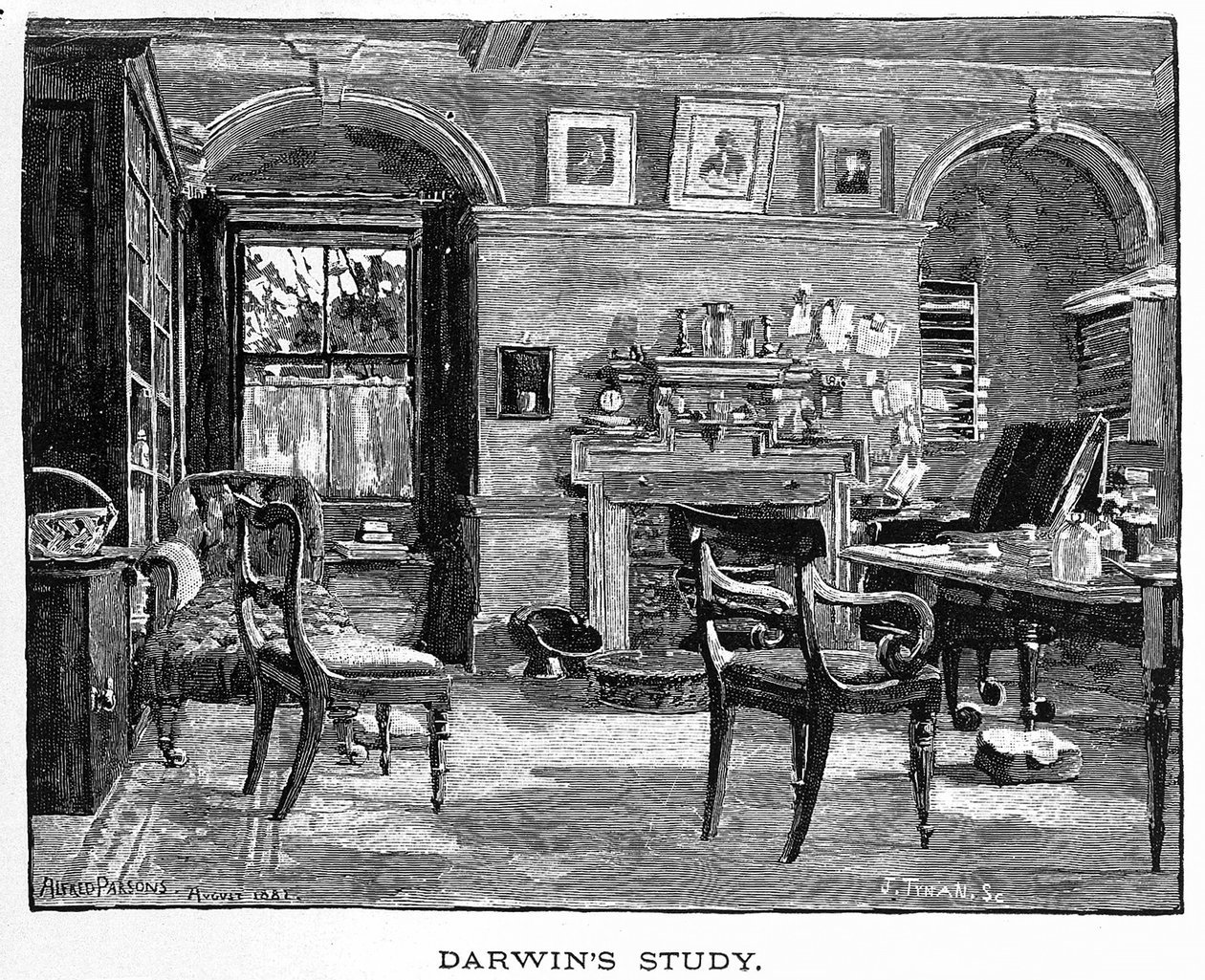 Studium Darwina z Charles Darwin, jego życie i praca, wyd. 1891 (drewno grawerowane) autorstwa Alfred (after) Parsons