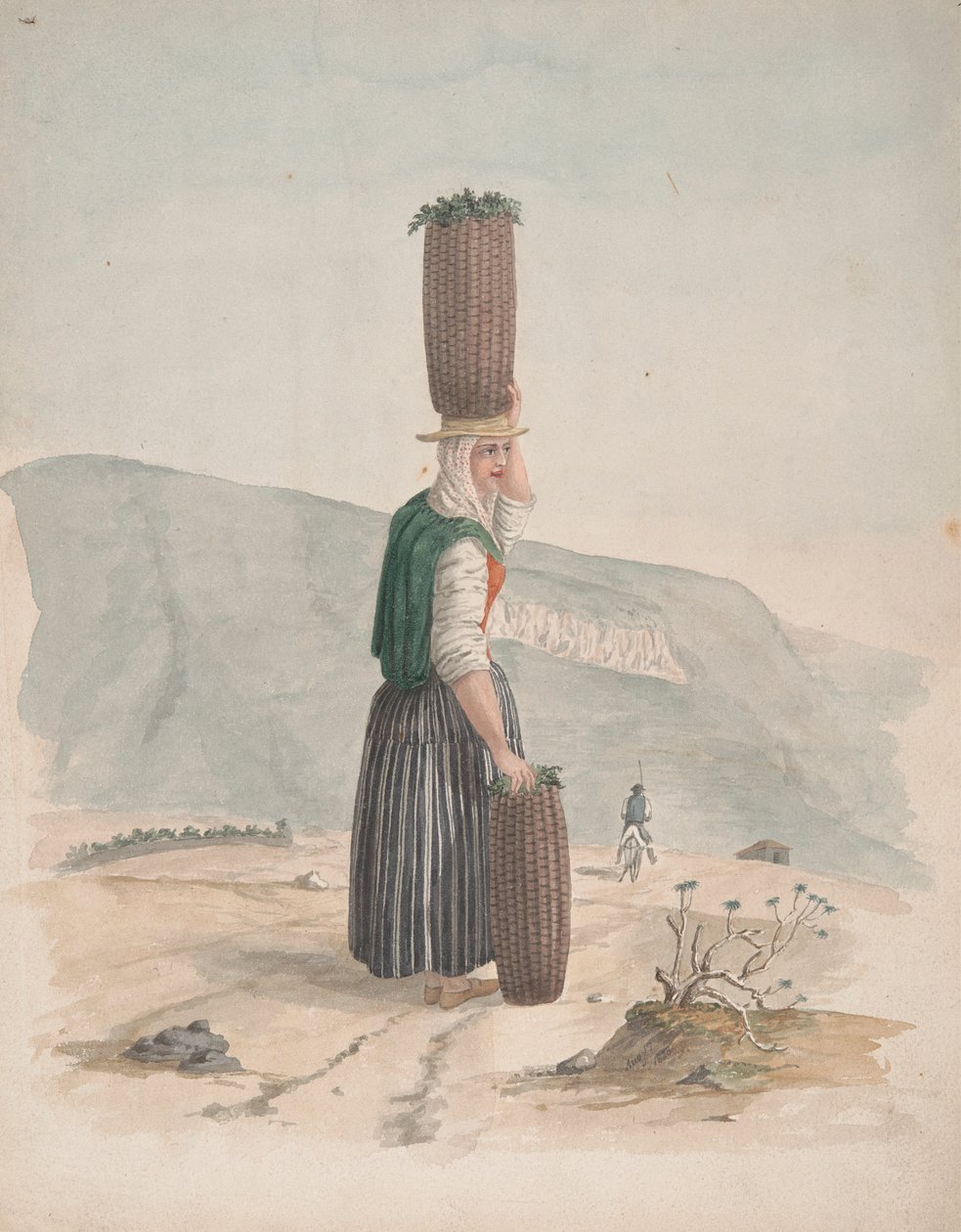 Sprzedawca węgla drzewnego, Teneryfa autorstwa Alfred Diston
