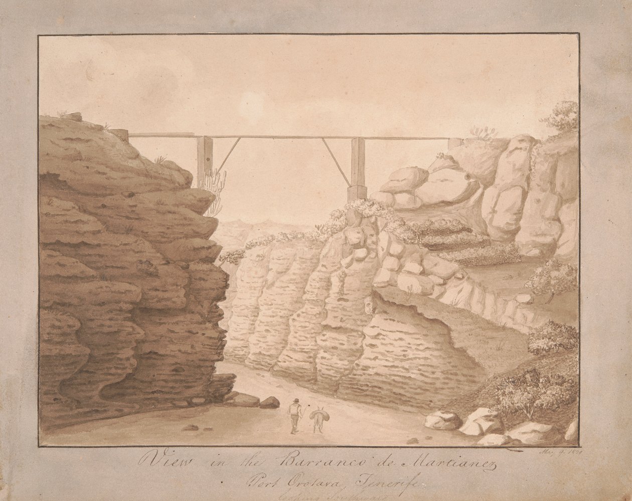 Zobacz w Barranco de Martianez, Port Orotava, Teneryfa, patrząc w kierunku południowym autorstwa Alfred Diston