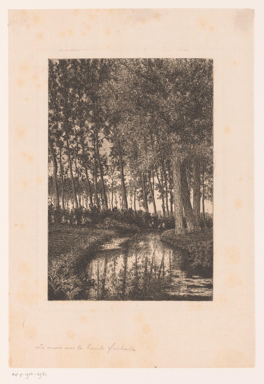 Wysokie drzewa nad wodą autorstwa Alfred Elsen