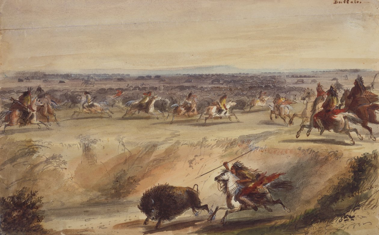Surround lub Hunting the Buffalo, c.1839 (ołówek, pióro i atrament, akwarela i gwasz na papierze) autorstwa Alfred Jacob Miller