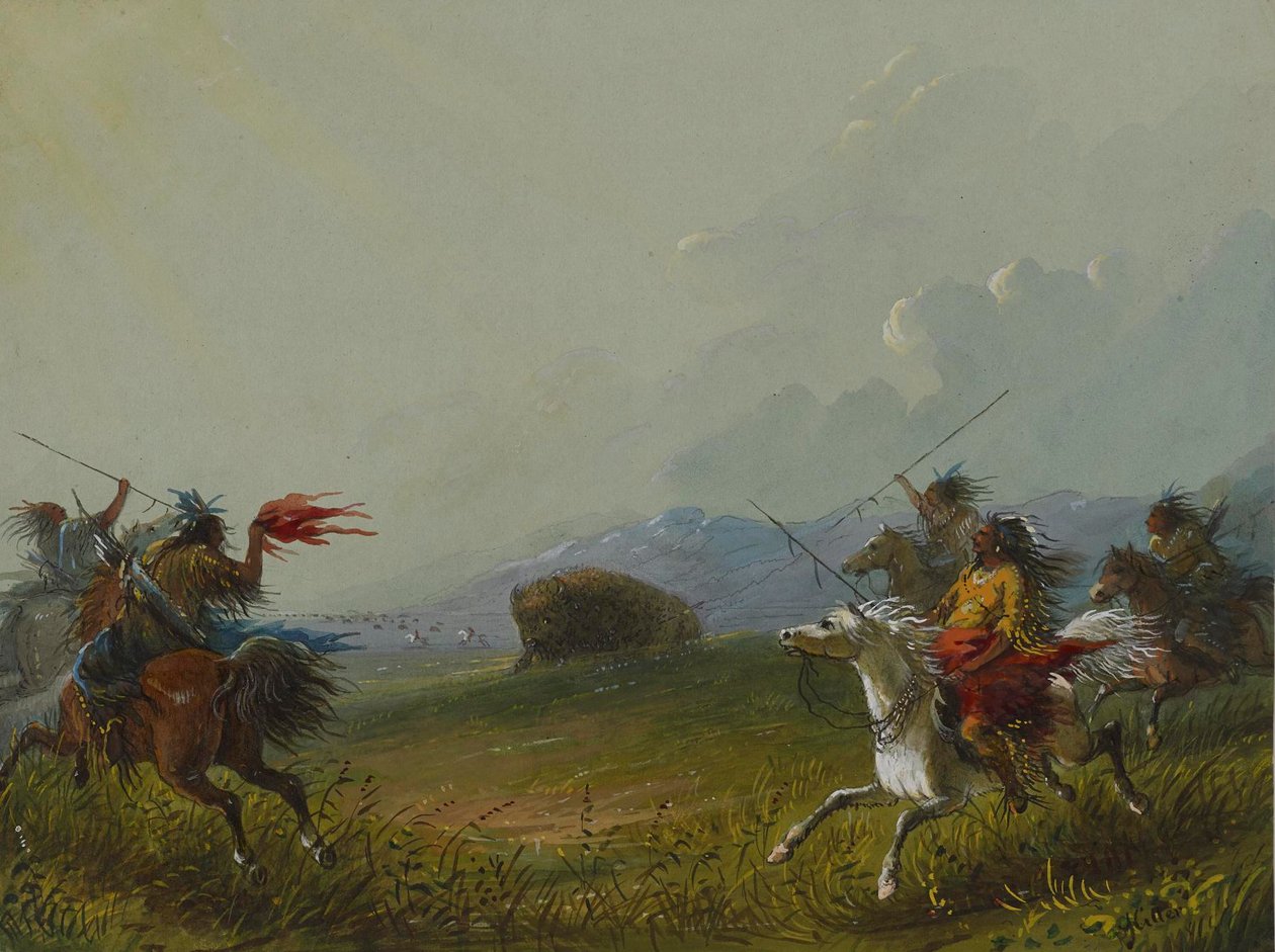 Bawół osaczony autorstwa Alfred Jacob Miller