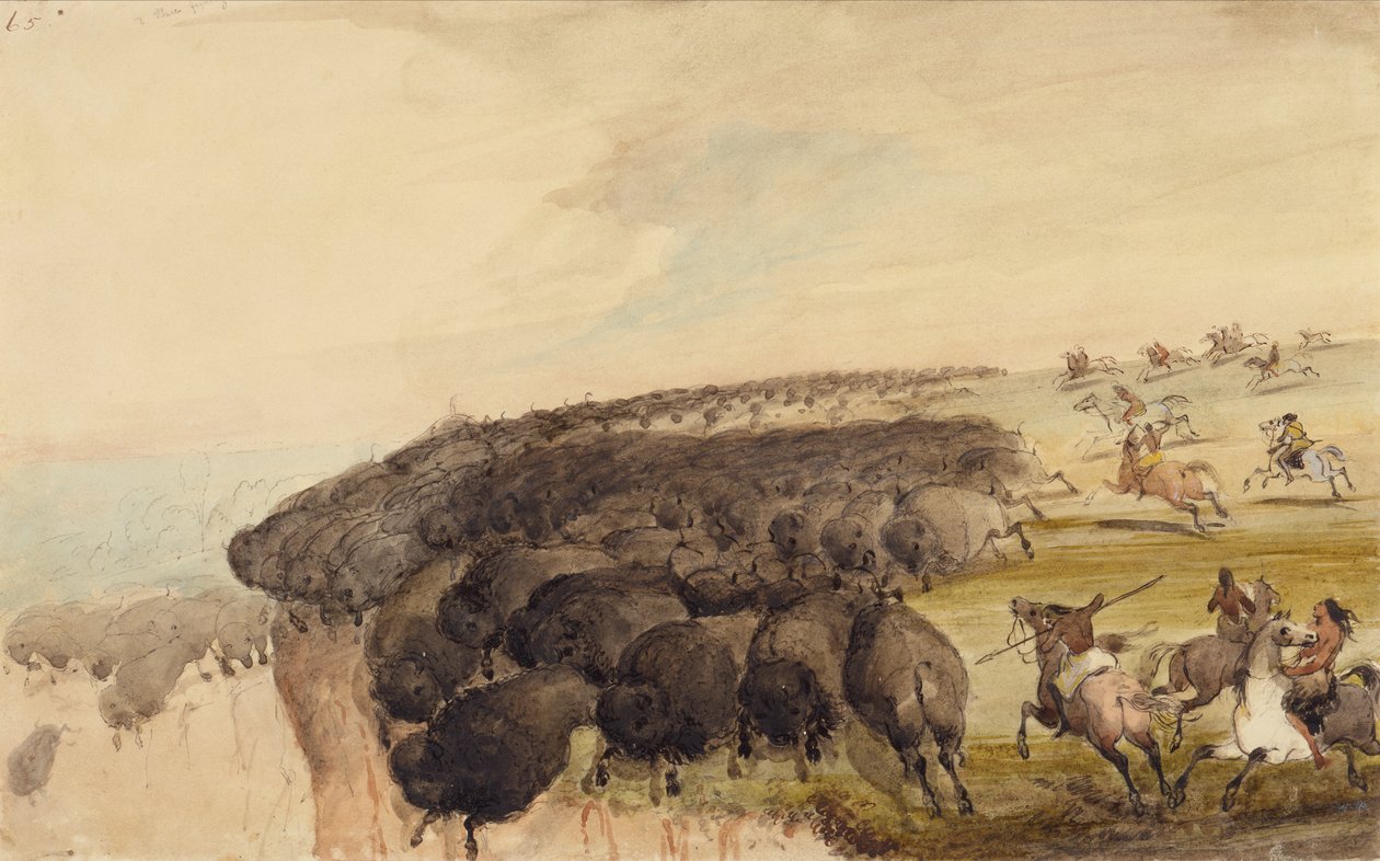 Prowadzenie stada bawołów nad przepaścią, ok. 1837 (ołówek, długopis i atrament oraz akwarela na papierze) autorstwa Alfred Jacob Miller