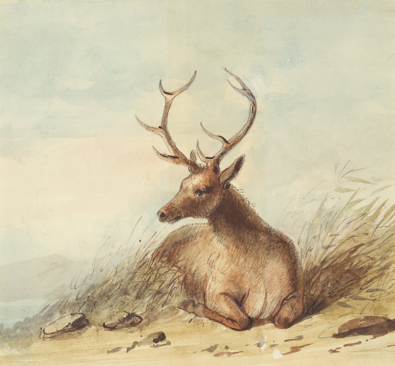 Ełk, Góry Skaliste, ok. 1837 (ołówek, pióro i atrament oraz akwarela na papierze) autorstwa Alfred Jacob Miller