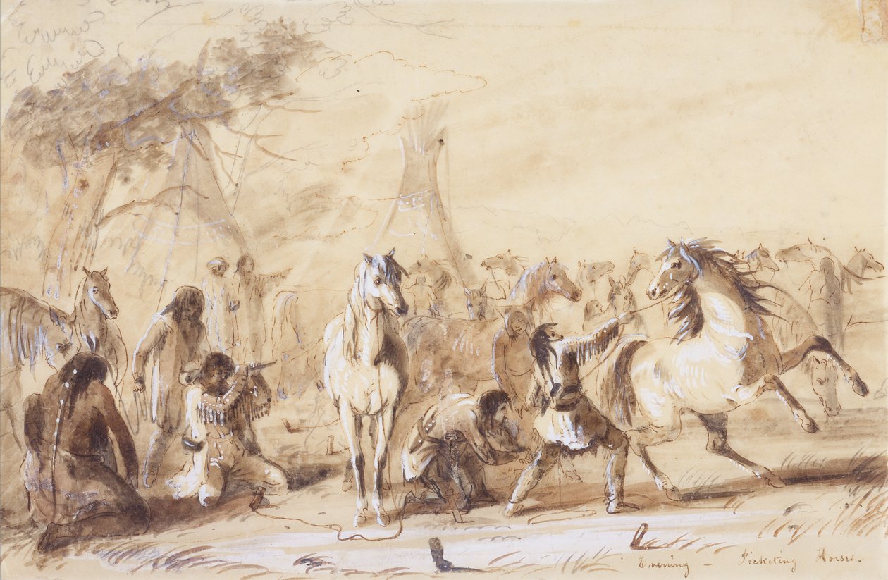 Wieczór, pikietowanie koni, ok. 1837 (ołówek, pranie i gwasz na papierze) autorstwa Alfred Jacob Miller