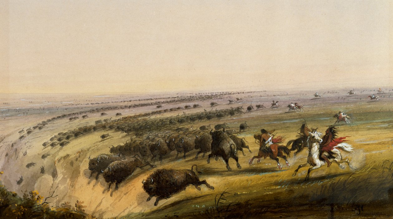 Polowanie na bizony autorstwa Alfred Jacob Miller
