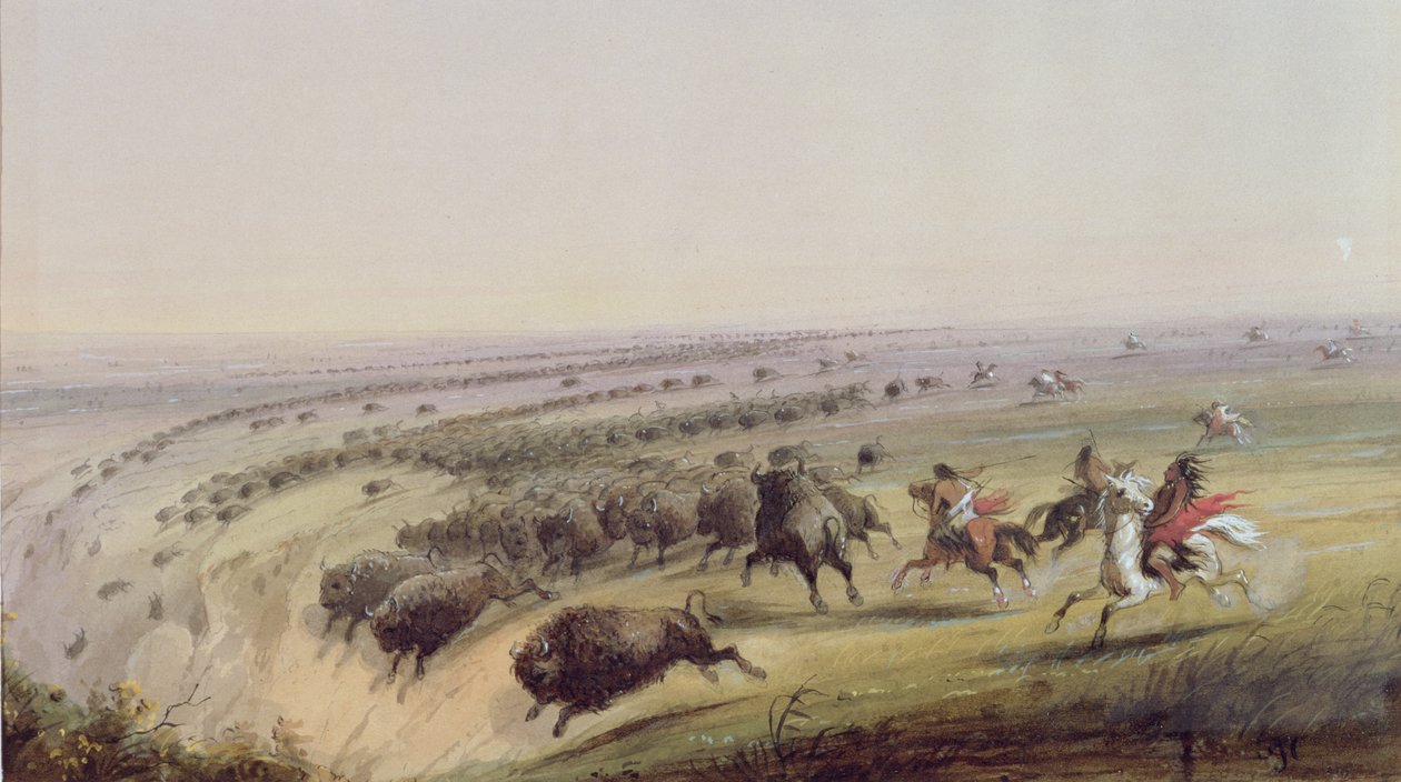 Polowanie na bawoły, 1837 autorstwa Alfred Jacob Miller