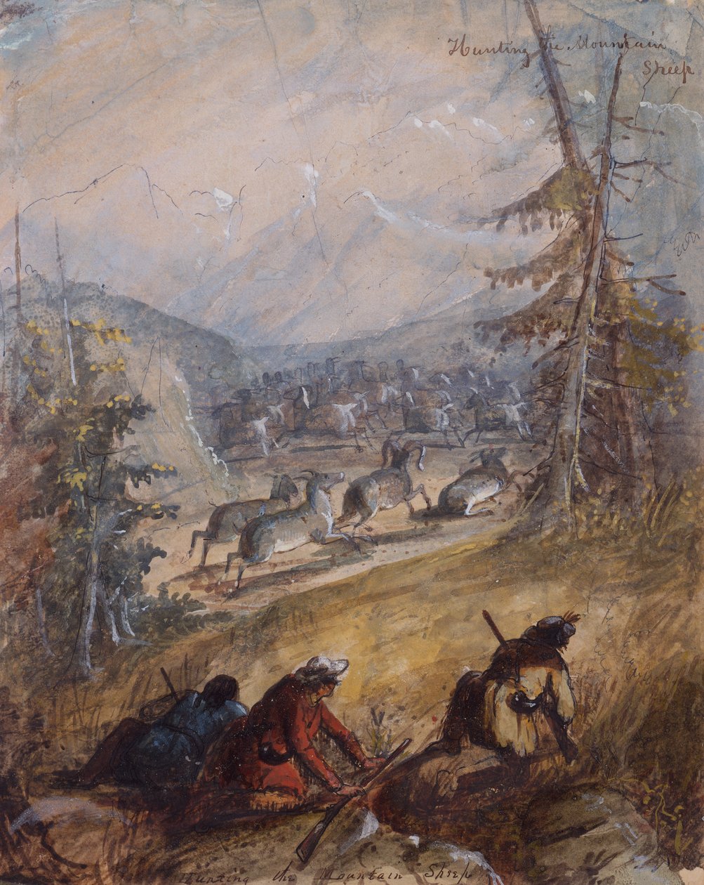 Polowanie na owcę górską, ok. 1837 (ołówek, pióro i atrament, akwarela i gwasz na papierze) autorstwa Alfred Jacob Miller