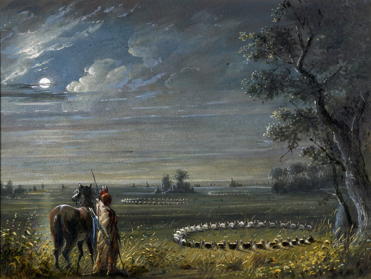 Kręgi medycyny autorstwa Alfred Jacob Miller