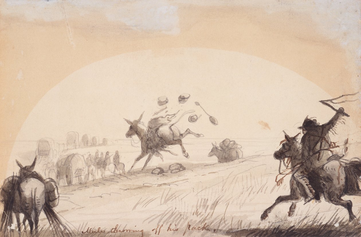 Mule Throwing Off His Pack, ok. 1837 (ołówek, długopis i atrament, pranie na papierze) autorstwa Alfred Jacob Miller