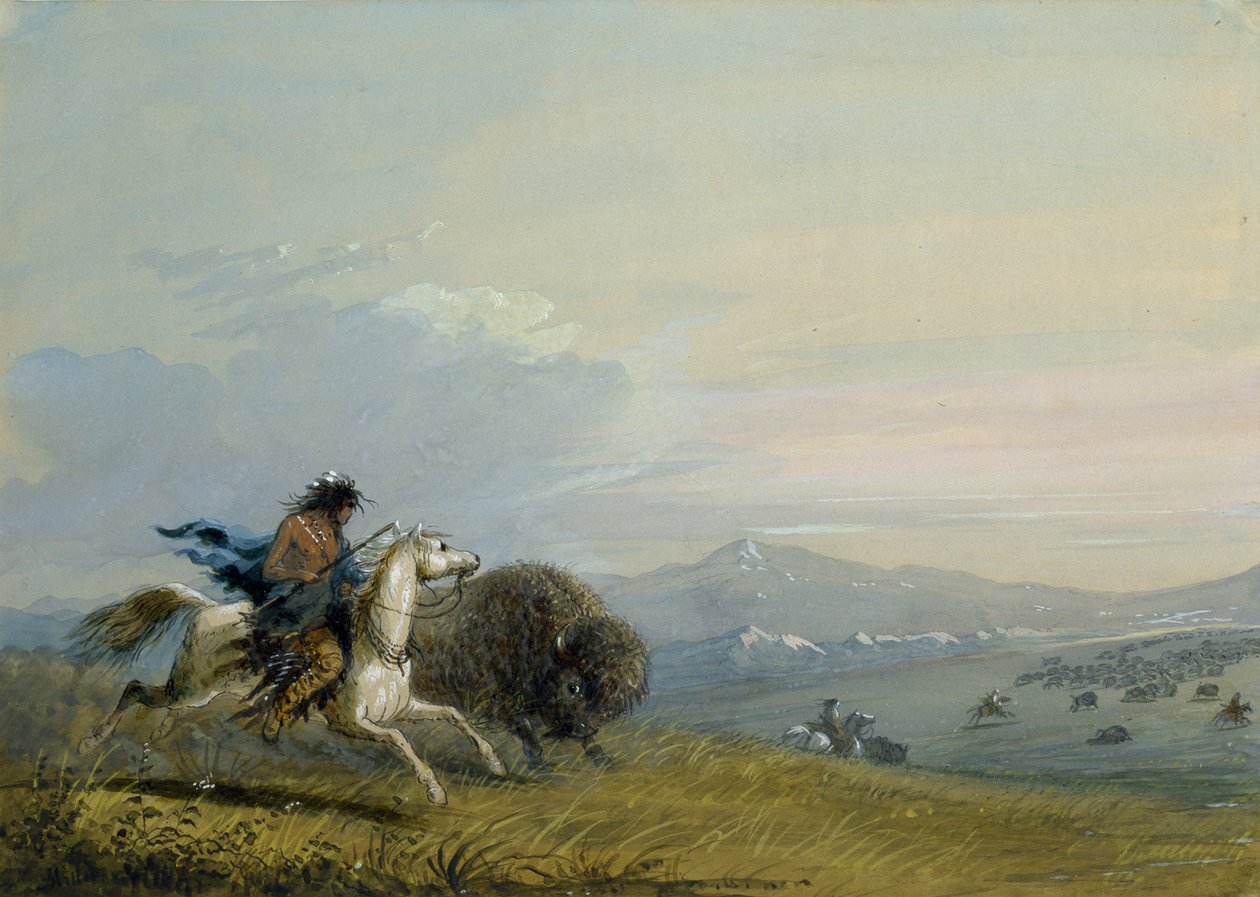 Biegnący bizon z plemienia Pawnee autorstwa Alfred Jacob Miller
