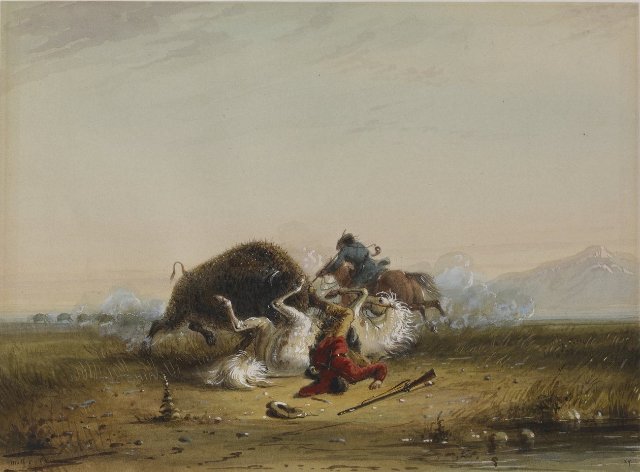 Pierre i bizon autorstwa Alfred Jacob Miller